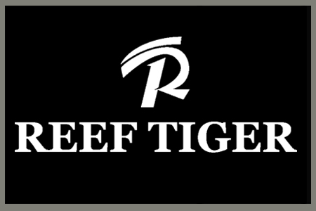 Đồng hồ Reef Tiger